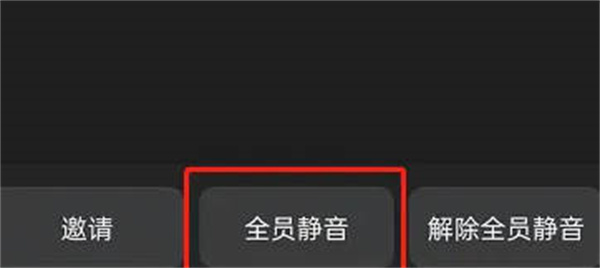 钉钉在哪设置全员静音 钉钉会议启用全员静音步骤一览图2