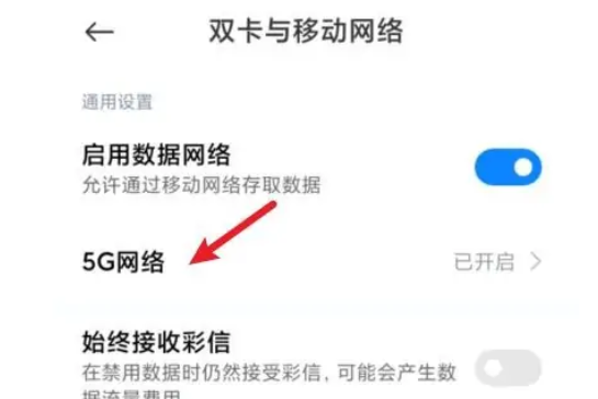 红米12如何关闭5G网络 红米12取消5G网络方法介绍图2