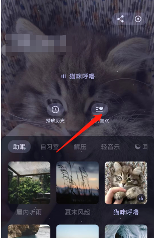 猫耳fm如何在专注版块中添加喜欢的音频 猫耳fm喜欢音频查询方法介绍图3