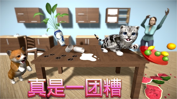 猫咪模拟器中文版图2