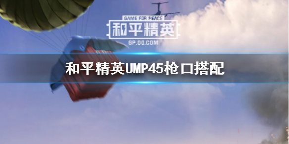 和平精英UMP45用什么枪口好图1