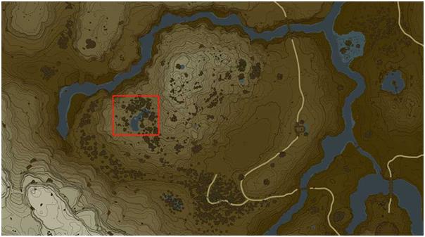 塞尔达传说：王国之泪蜂蜜获取位置介绍