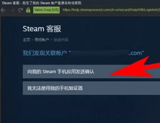 steam密码查看方法图4