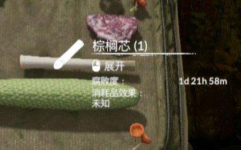 绿色地狱棕榈芯用途分享图2